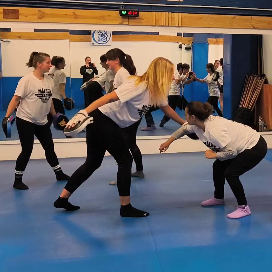 Imagen de grupo de clase en Málaga Krav Maga, con un grupo de sólo mujeres.